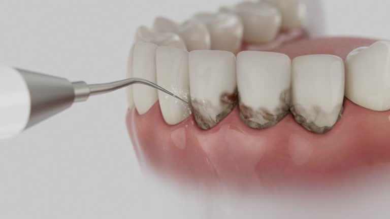 Reliable Dental contractor in Sterling City, TX by Dentist Open Now